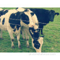 Fent Fent Fenting Farming